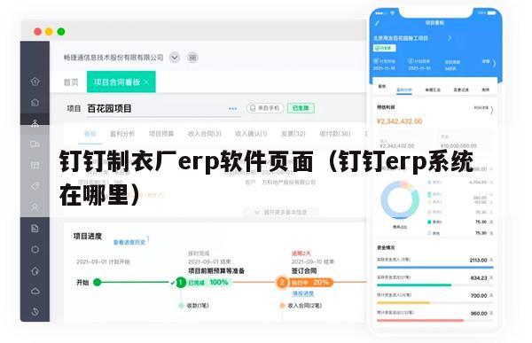 钉钉制衣厂erp软件页面（钉钉erp系统在哪里）