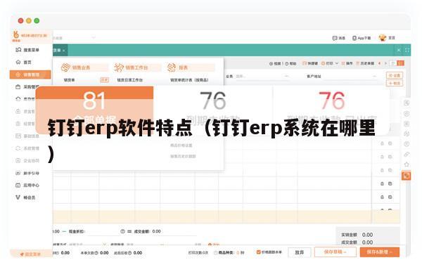 钉钉erp软件特点（钉钉erp系统在哪里）