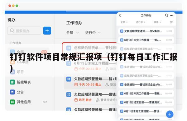 钉钉软件项目常规汇报项（钉钉每日工作汇报）