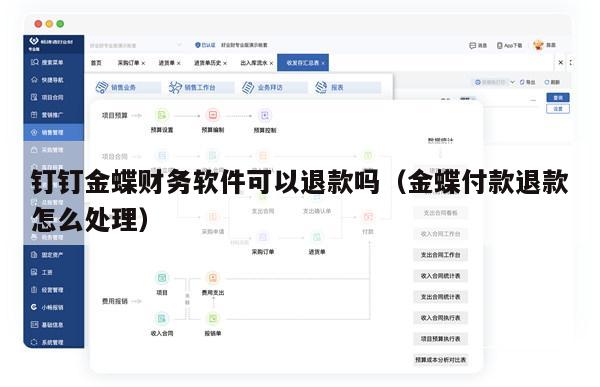 钉钉金蝶财务软件可以退款吗（金蝶付款退款怎么处理）