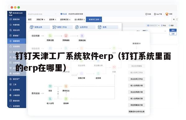 钉钉天津工厂系统软件erp（钉钉系统里面的erp在哪里）