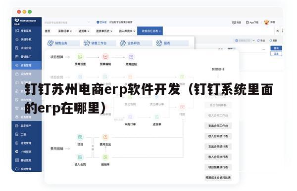 钉钉苏州电商erp软件开发（钉钉系统里面的erp在哪里）