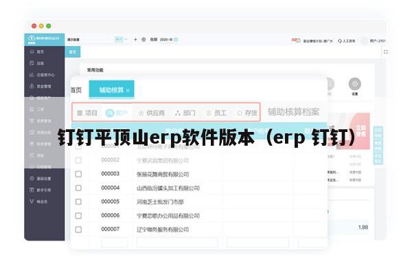 钉钉平顶山erp软件版本（erp 钉钉）