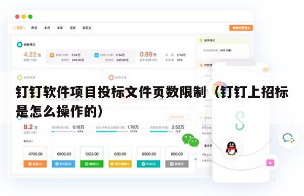 钉钉软件项目投标文件页数限制（钉钉上招标是怎么操作的）