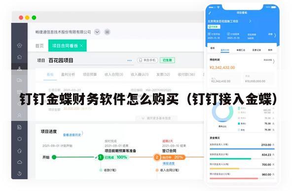 钉钉金蝶财务软件怎么购买（钉钉接入金蝶）