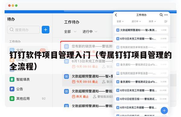 钉钉软件项目管理入门（专属钉钉项目管理的全流程）