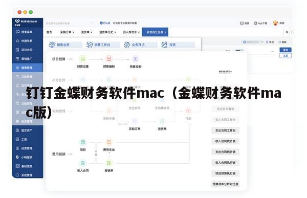 钉钉金蝶财务软件mac（金蝶财务软件mac版）