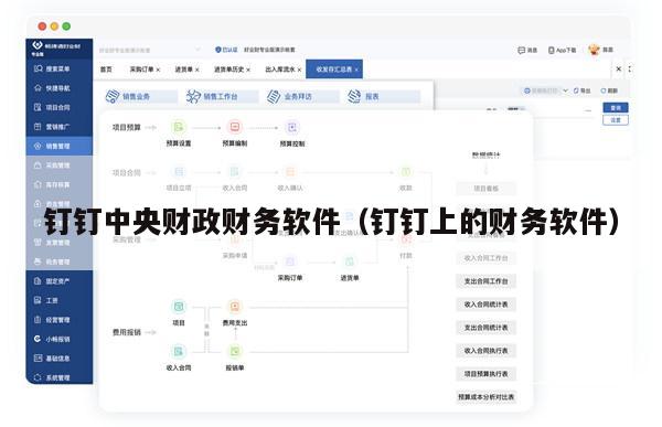 钉钉中央财政财务软件（钉钉上的财务软件）