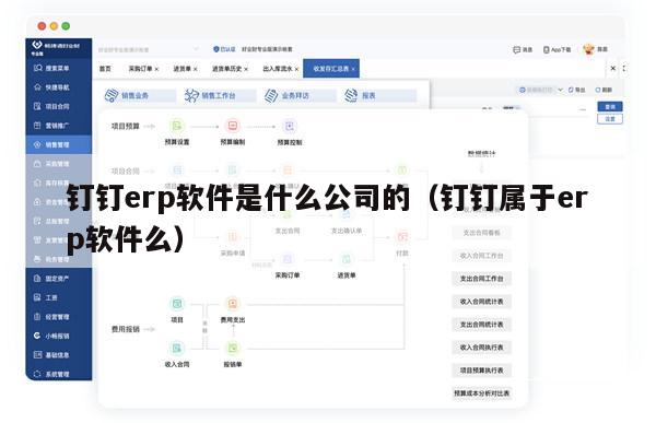 钉钉erp软件是什么公司的（钉钉属于erp软件么）