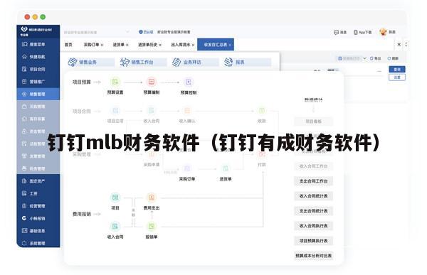 钉钉mlb财务软件（钉钉有成财务软件）