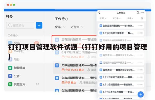 钉钉项目管理软件试题（钉钉好用的项目管理）