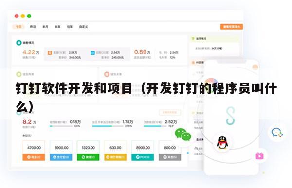 钉钉软件开发和项目（开发钉钉的程序员叫什么）