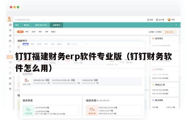 钉钉福建财务erp软件专业版（钉钉财务软件怎么用）
