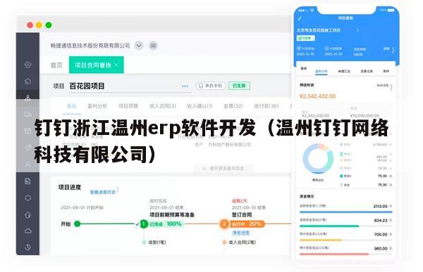 钉钉浙江温州erp软件开发（温州钉钉网络科技有限公司）