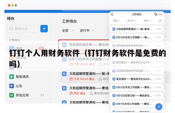 钉钉个人用财务软件（钉钉财务软件是免费的吗）