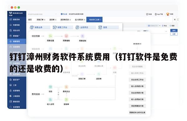 钉钉漳州财务软件系统费用（钉钉软件是免费的还是收费的）