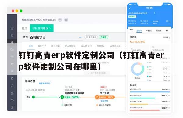 钉钉高青erp软件定制公司（钉钉高青erp软件定制公司在哪里）