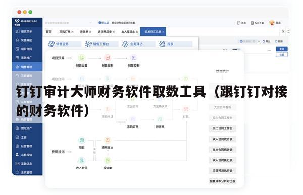 钉钉审计大师财务软件取数工具（跟钉钉对接的财务软件）