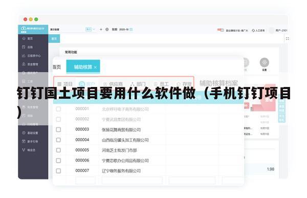 钉钉国土项目要用什么软件做（手机钉钉项目）