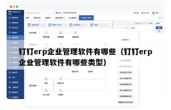 钉钉erp企业管理软件有哪些（钉钉erp企业管理软件有哪些类型）