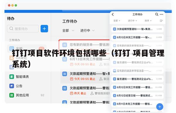 钉钉项目软件环境包括哪些（钉钉 项目管理系统）