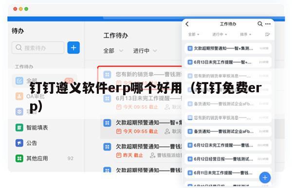 钉钉遵义软件erp哪个好用（钉钉免费erp）