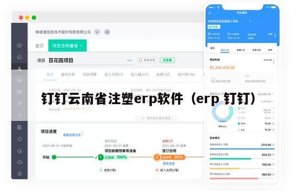 钉钉云南省注塑erp软件（erp 钉钉）