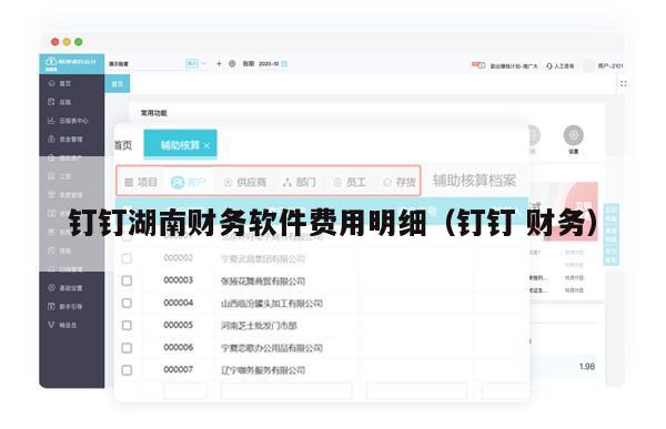 钉钉湖南财务软件费用明细（钉钉 财务）