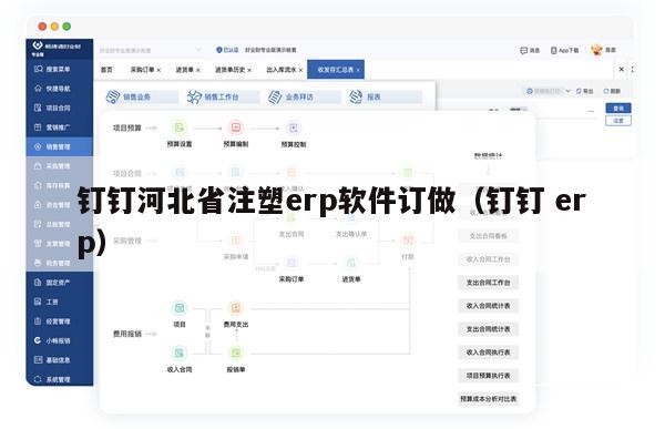 钉钉河北省注塑erp软件订做（钉钉 erp）