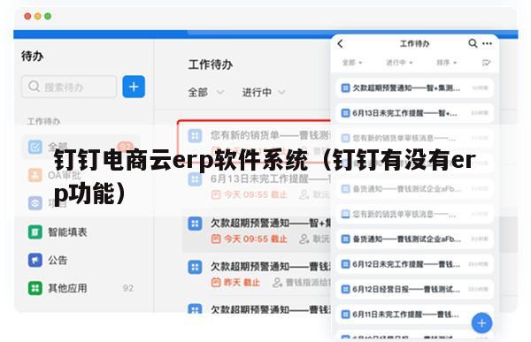 钉钉电商云erp软件系统（钉钉有没有erp功能）