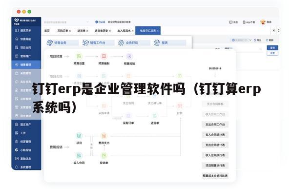 钉钉erp是企业管理软件吗（钉钉算erp系统吗）