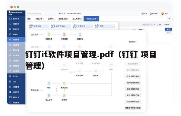 钉钉it软件项目管理.pdf（钉钉 项目管理）