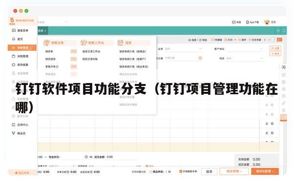钉钉软件项目功能分支（钉钉项目管理功能在哪）