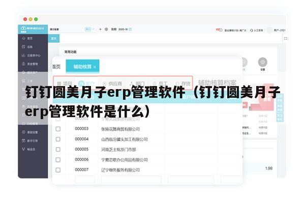 钉钉圆美月子erp管理软件（钉钉圆美月子erp管理软件是什么）