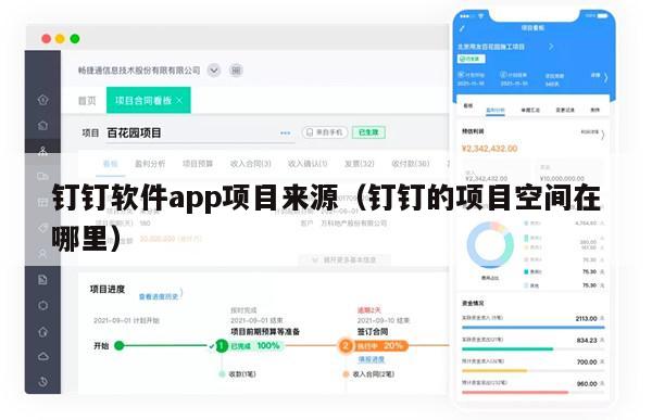 钉钉软件app项目来源（钉钉的项目空间在哪里）