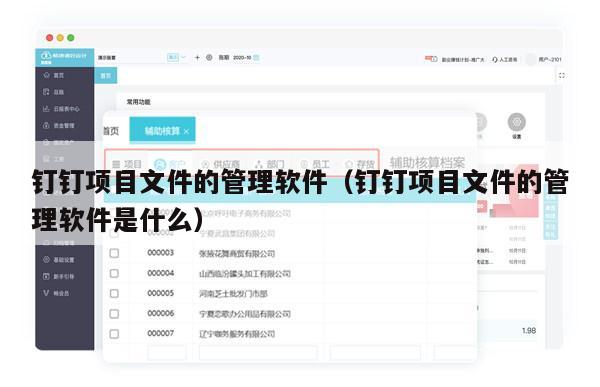钉钉项目文件的管理软件（钉钉项目文件的管理软件是什么）