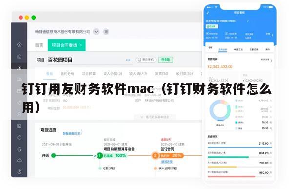 钉钉用友财务软件mac（钉钉财务软件怎么用）