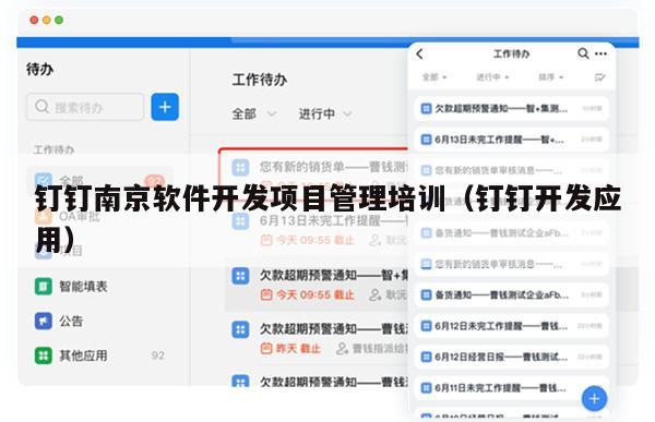 钉钉南京软件开发项目管理培训（钉钉开发应用）