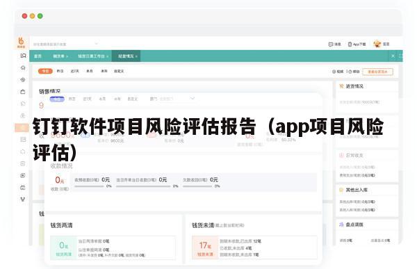 钉钉软件项目风险评估报告（app项目风险评估）