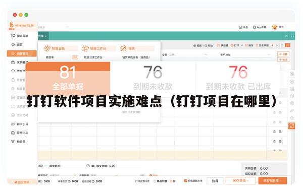 钉钉软件项目实施难点（钉钉项目在哪里）