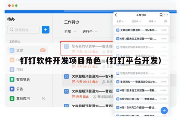 钉钉软件开发项目角色（钉钉平台开发）