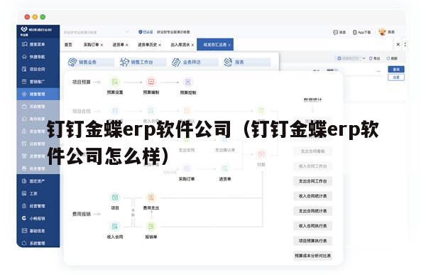 钉钉金蝶erp软件公司（钉钉金蝶erp软件公司怎么样）