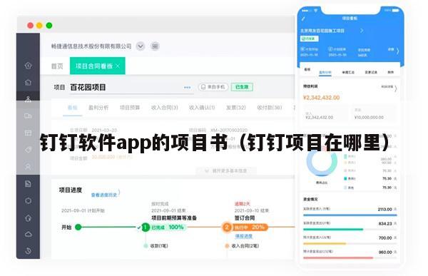 钉钉软件app的项目书（钉钉项目在哪里）