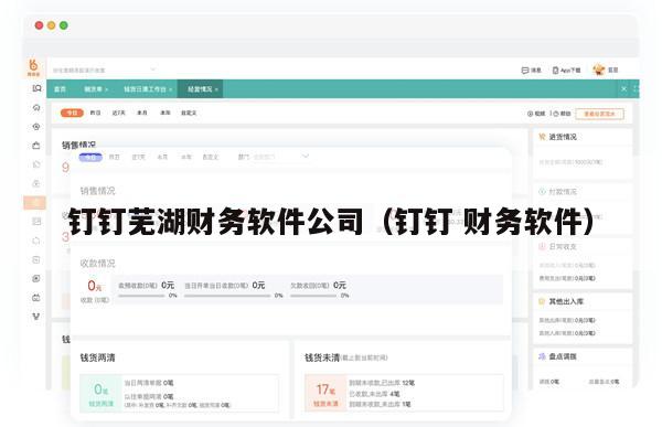 钉钉芜湖财务软件公司（钉钉 财务软件）