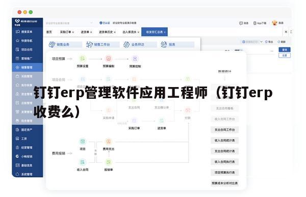 钉钉erp管理软件应用工程师（钉钉erp收费么）