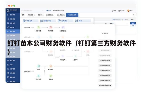 钉钉苗木公司财务软件（钉钉第三方财务软件）