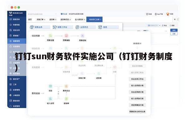 钉钉sun财务软件实施公司（钉钉财务制度）
