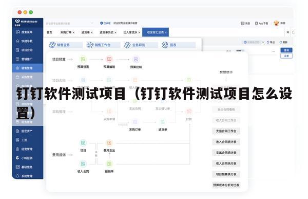 钉钉软件测试项目（钉钉软件测试项目怎么设置）