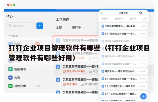 钉钉企业项目管理软件有哪些（钉钉企业项目管理软件有哪些好用）