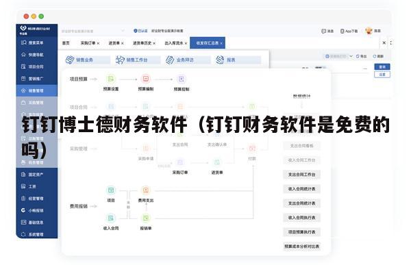 钉钉博士德财务软件（钉钉财务软件是免费的吗）